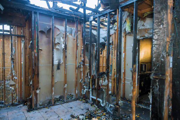 Professional Soot Cleanup technician working in Maple Grove, MN